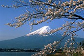 Vista del Monte Fuji