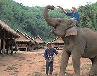 Campamento de Elefantes, Chiang Mai