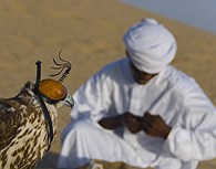 Cetrería con halcones en Emiratos Árabes