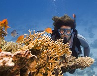 Curso de buceo
