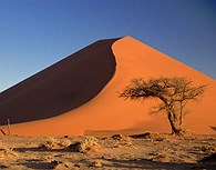 Las dunas de Sossusvlei pueden llegar alcanzar los 300 metros de altura