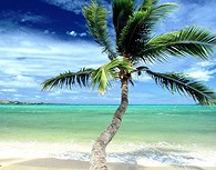 Fiji 