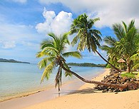 Fiji 