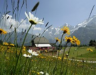 Interlaken