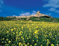 Mdina