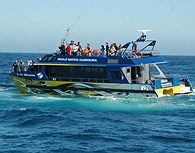 Navegación en Kaikoura