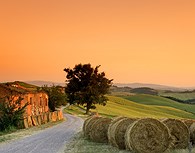 Paisaje de la Toscana 