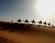 Paseo en camello por las dunas