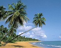 Playa de Puerto Rico 
