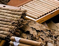 Puros cubanos
