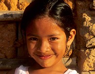 Sonsira boliviana