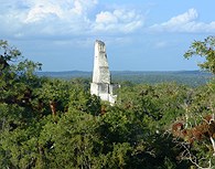 Templo IV  Parque Nacional Tikal 