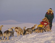 Trineo con perros Trineo con perros