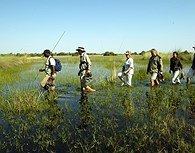 Walking Safari por el Okavango