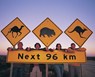 ¡Atención fauna australiana!