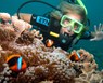 Buceo en la Gran Barrera de Coral