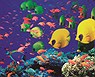 Buceo en el Mar Rojo