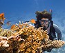 Curso de buceo