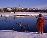 Reykjavik en invierno 