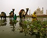Taj Mahal desde el río Yamuna, Agra 
