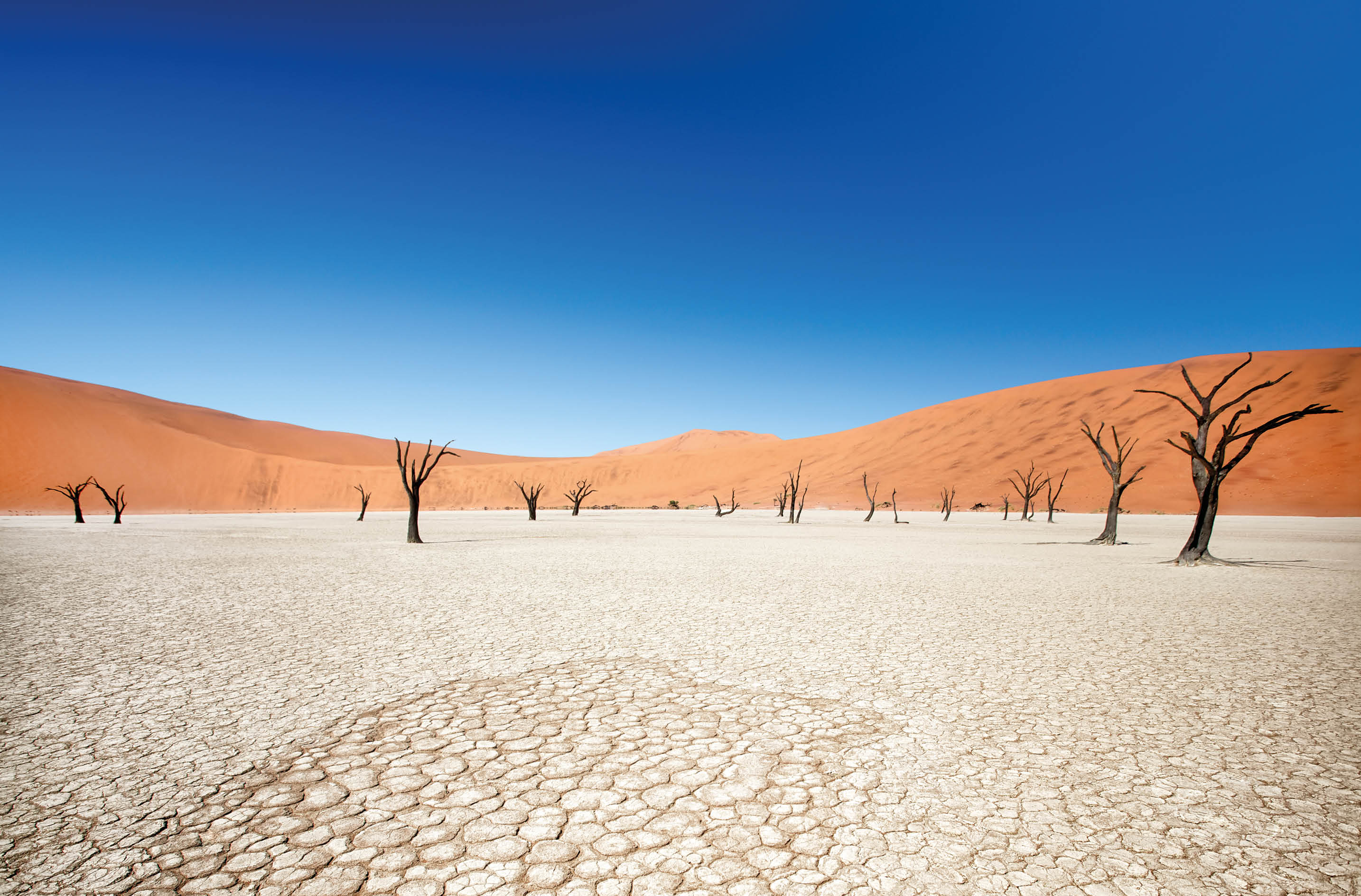 Click on the lightbox for more images from NAMIBIA: