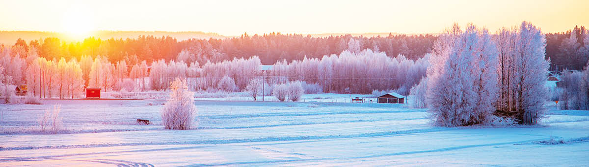 a beautiful (and cold) day last winter in Luleå, Sweden 