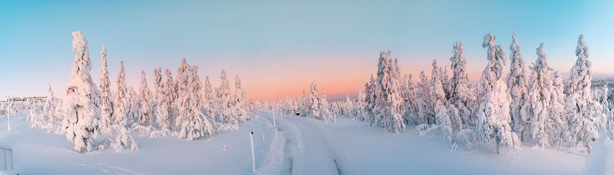 Snowy landscape at sunset, frozen trees in winter in Saariselka, Lapland, Finland