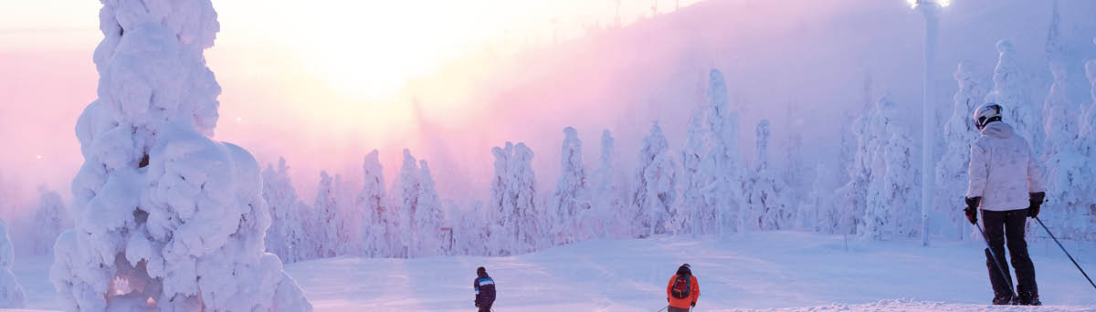 Group of skiers down the mountain  The ski resort of Ruka Kuusamo  Morning on the mountain  Finland Lapland 