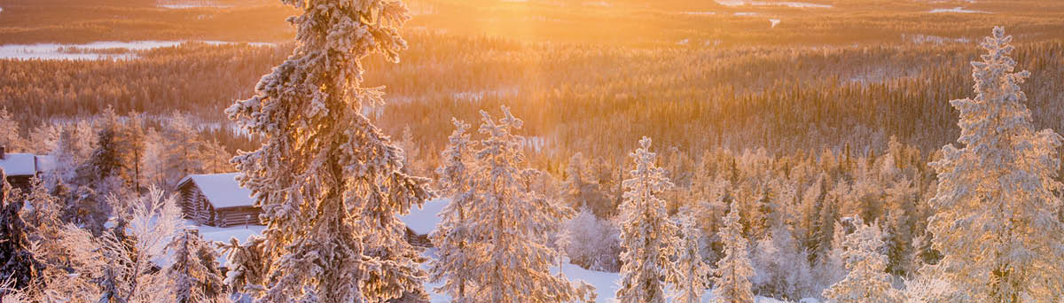 Sunrise in winter wonderland  Landscape photo  Wintry scenery from Lapland  Iso-syöte, Pudasjärvi, Finland 