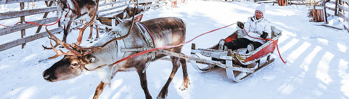 Girl in Reindeer sleigh in Finland in Lapland in winter 