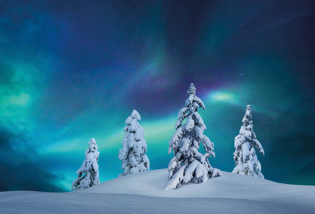 Snowcapped trees under the beautiful night sky with colorful aurora borealis 