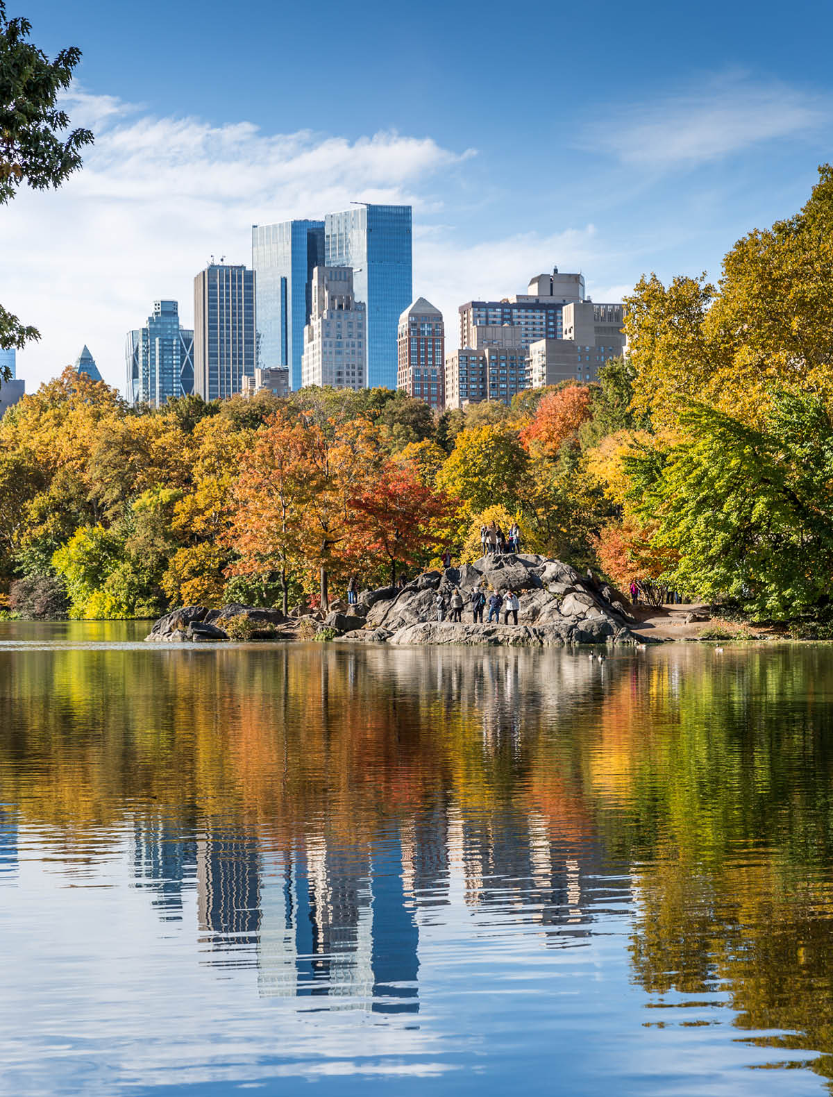 DSLR picture of Central Park in New York City during a beautiful autumn day. The picture was taken from across a lake and colorful trees are surrounding the lake. The skyscrapers of the city of New York are visible in the background. 