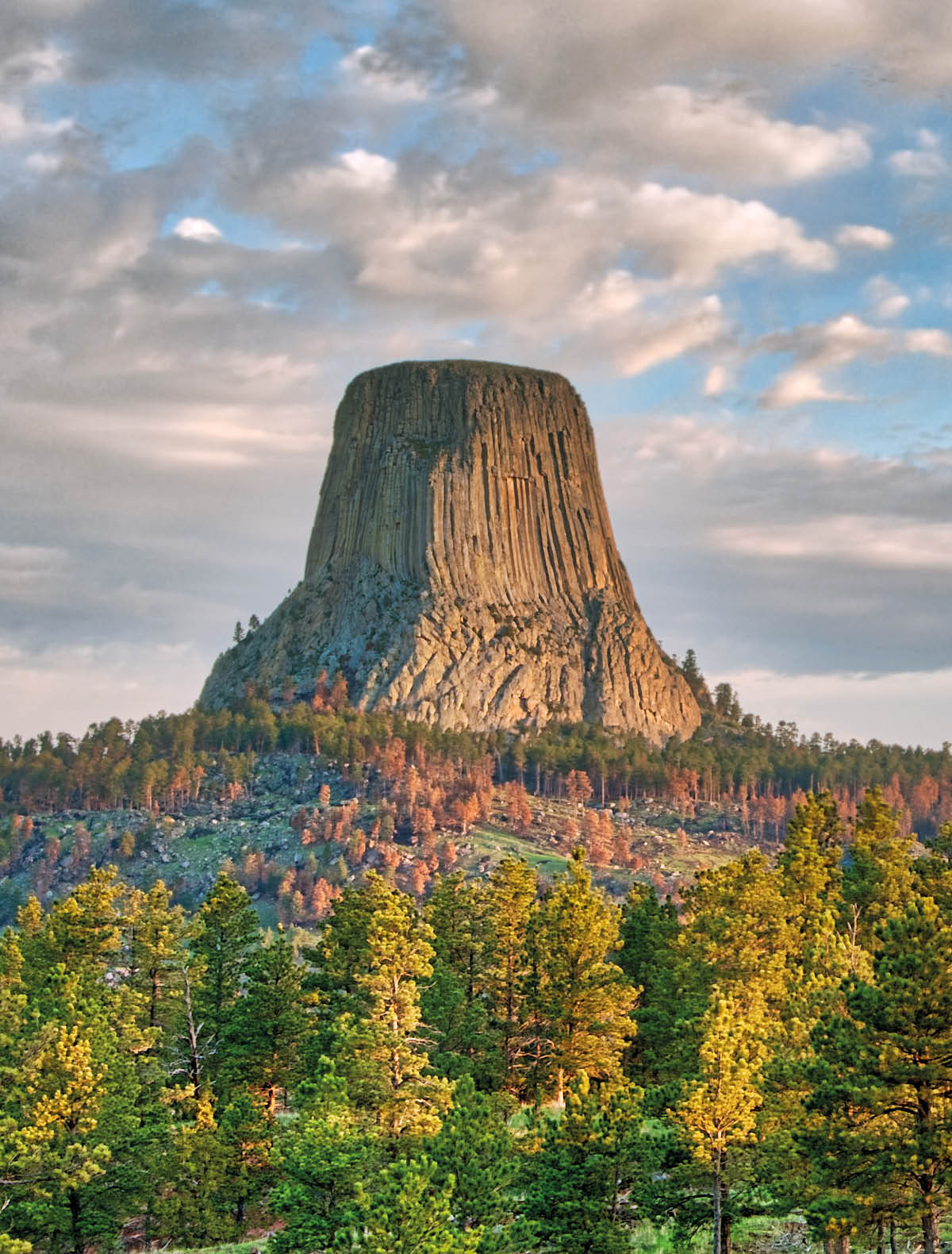 Devil's Tower National Monument in Wyoming Under the Early Morning Cloudy Sky with the forest in the foreground