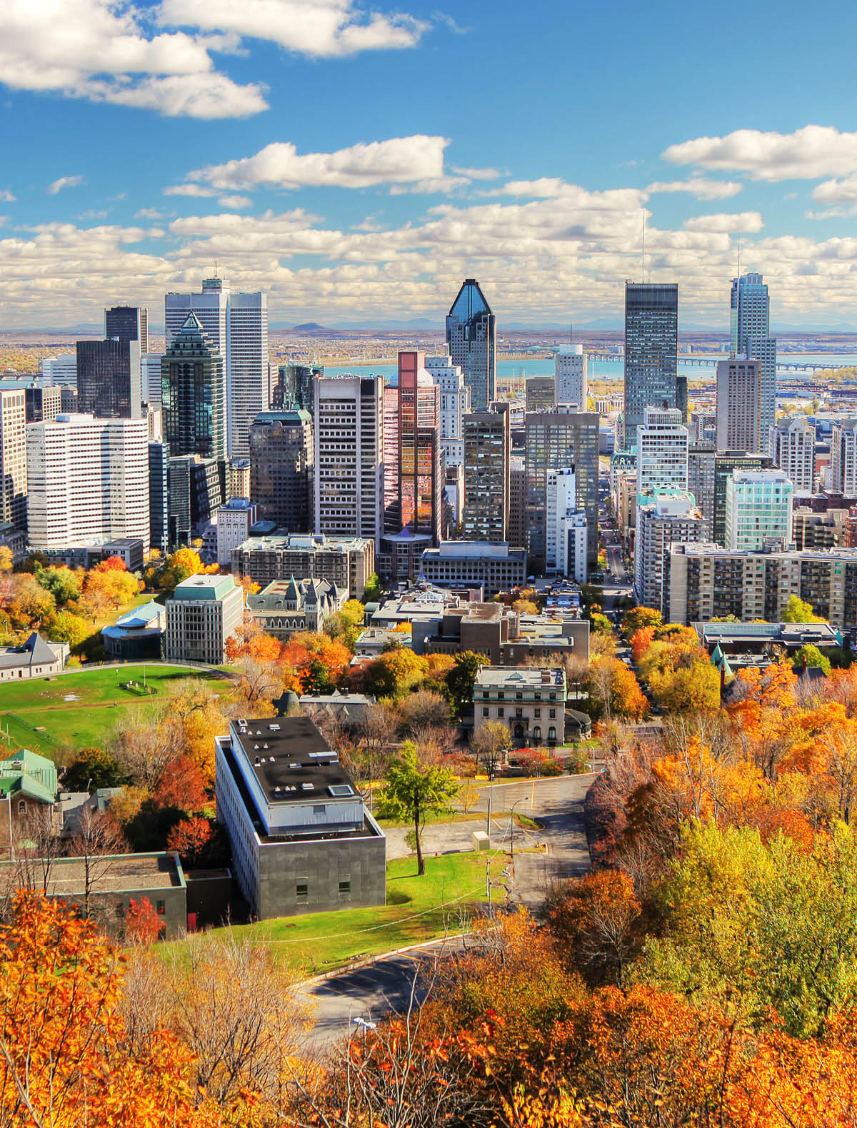 A Mountain view of Montreal City, Canada in the fall. The sky is clear and it is a sunny day.  A cluster of gray, multiple-sized buildings are visible in the center of the photo.  Lush, fall foliage lines the front of the image, and a body of water is visible in the back of the photo.