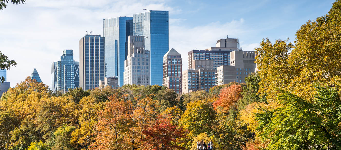 DSLR picture of Central Park in New York City during a beautiful autumn day. The picture was taken from across a lake and colorful trees are surrounding the lake. The skyscrapers of the city of New York are visible in the background. 