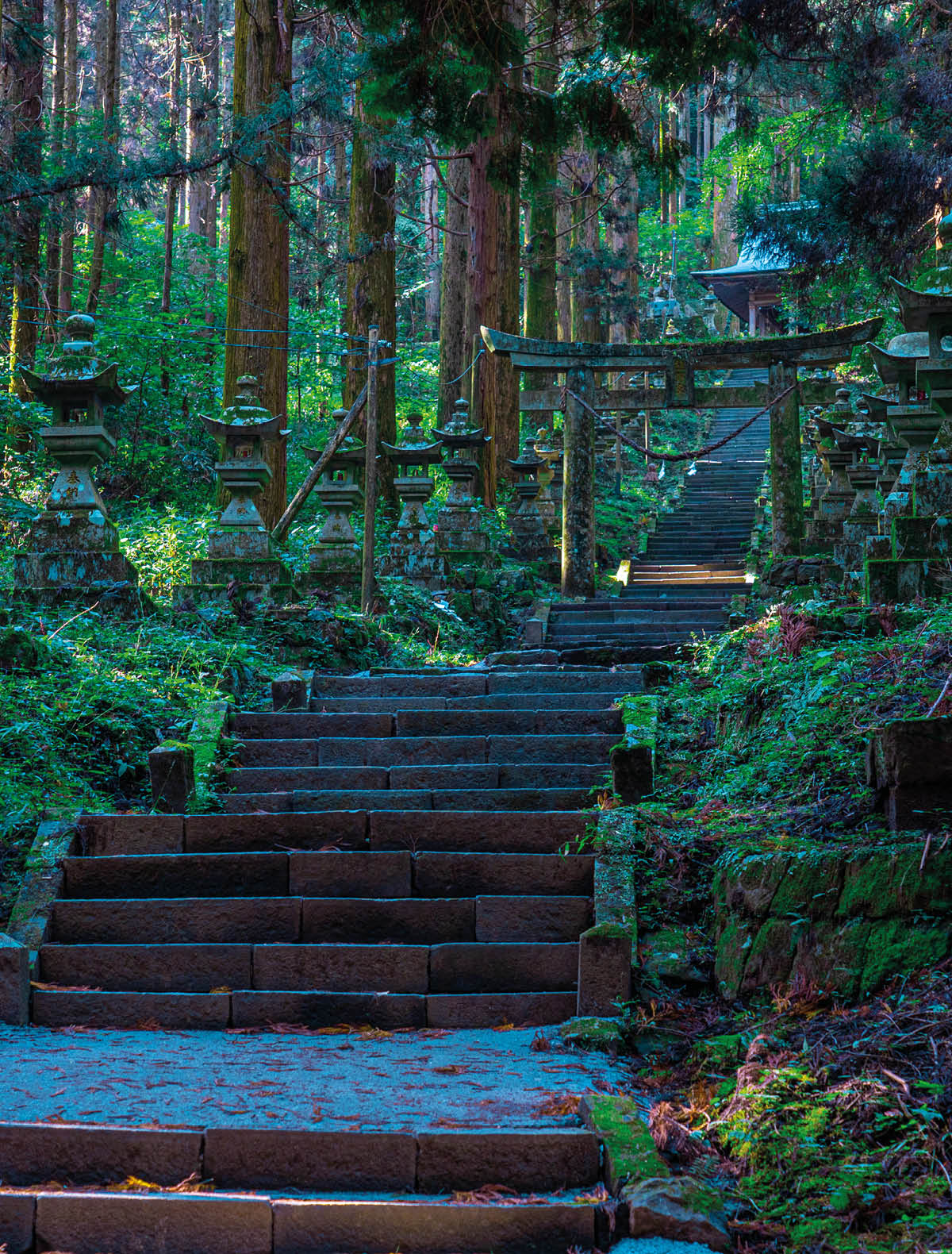 shrine in the forest, Aso, Kumamoto