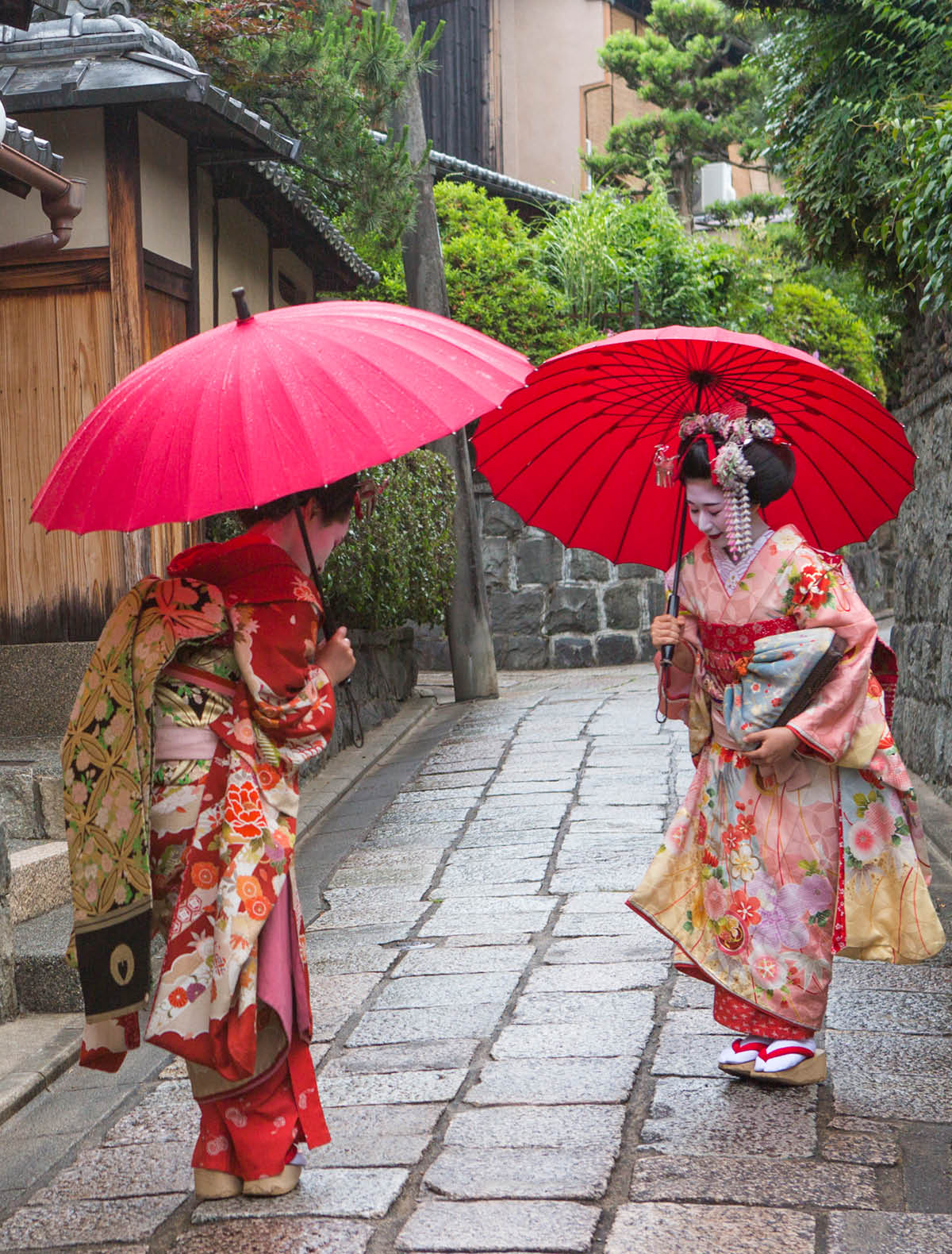 traditional geisha maiko girls salute eachother at street of kyoto japan