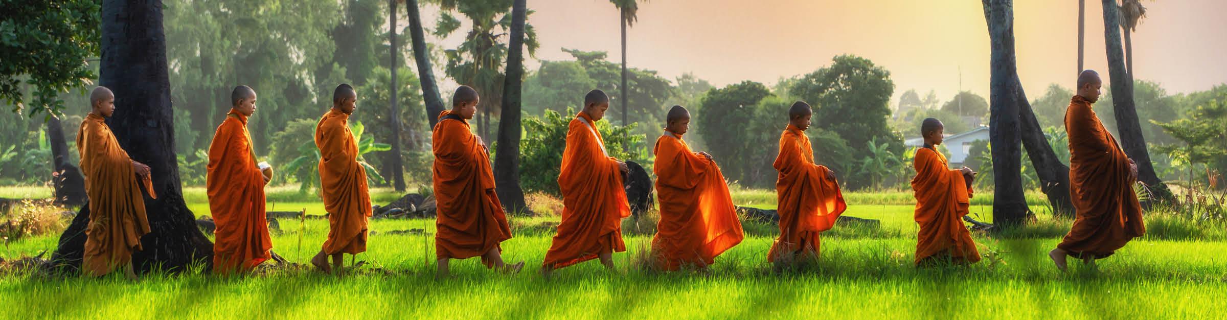 Buddhist monk and Buddhist novice going about with a bowl to receive food in the morning by walking in a row across rice field with palm trees to village
