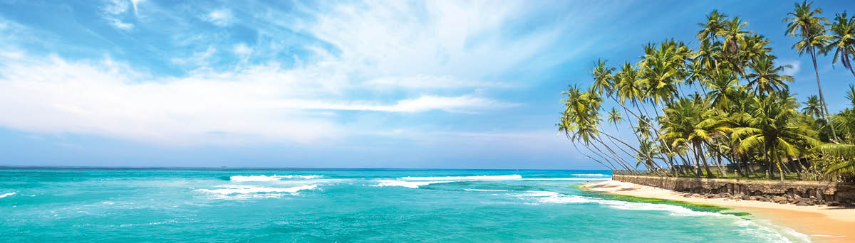 Untouched tropical beach in Sri Lanka