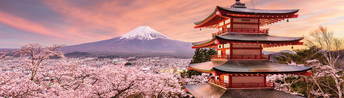 Fujiyoshida, Japan at Chureito Pagoda and Mt  Fuji in the spring with cherry blossoms 