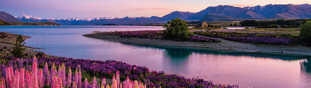 Lake Tekapo At Dawn, New Zealand South Island