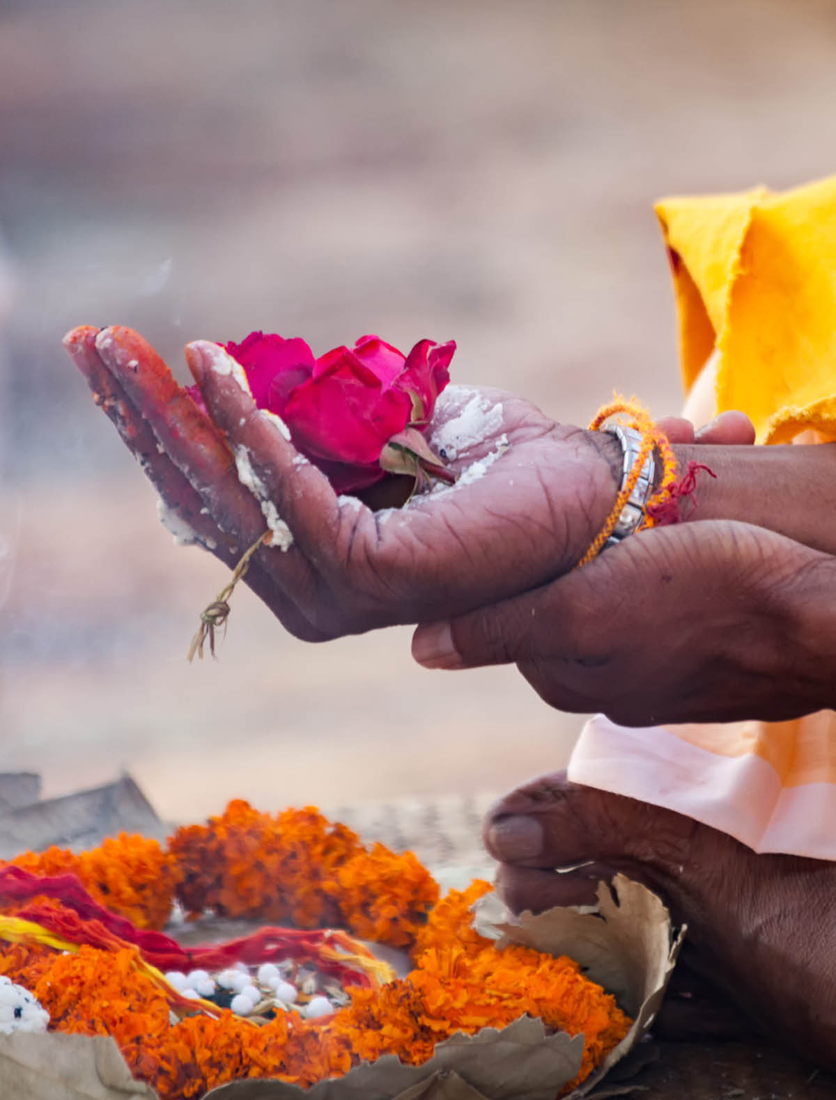 Varanasi, India - December 16, 2015 : Sacred flowers are taken for worship on hand at river Ganges, varanasi, uttar pradesh, india.