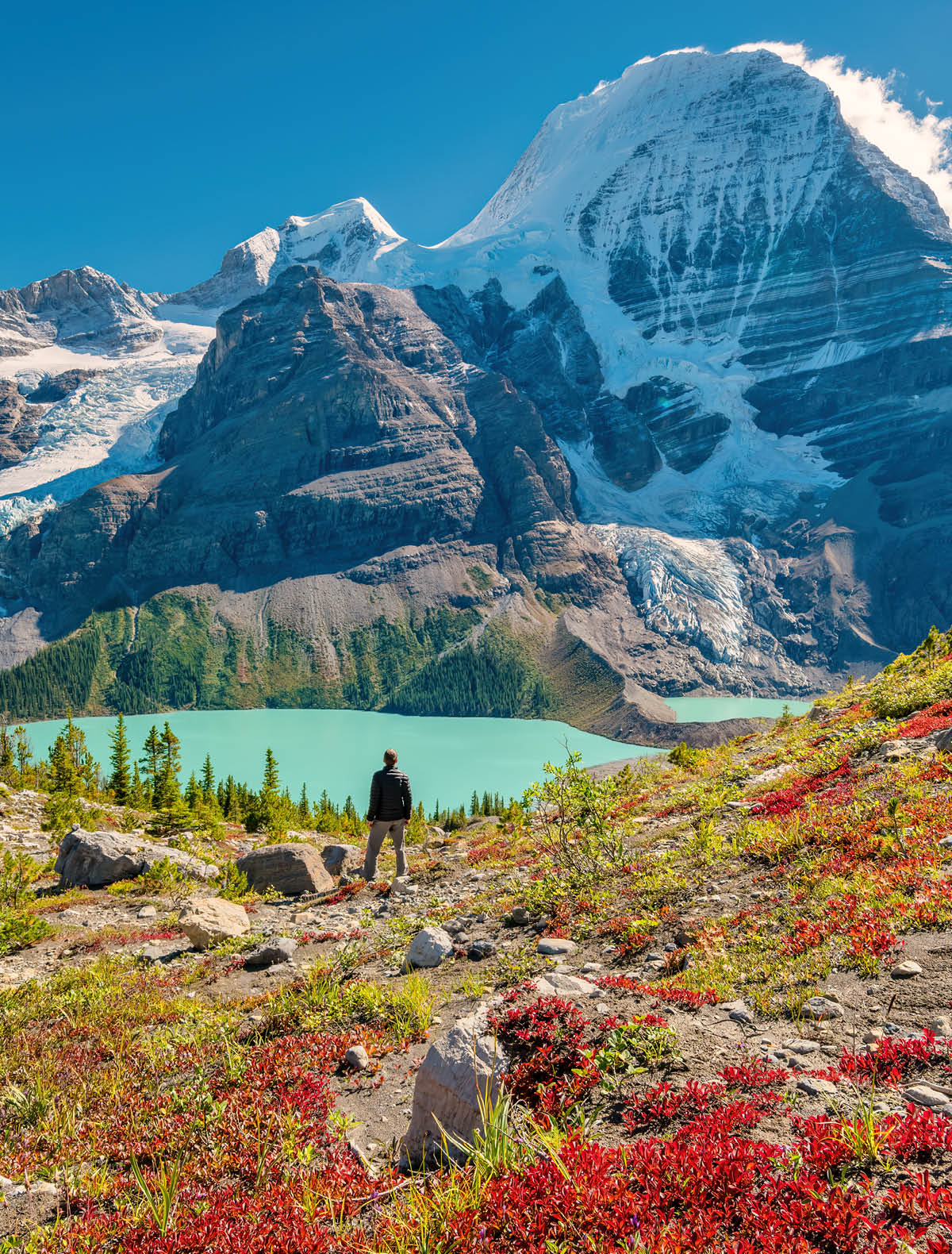 Hiker admires view of Mount Robson from above Berg Lake, Mount Robson Provincial Park, British Columbia, Canadian Rockies on a sunny afternoon.