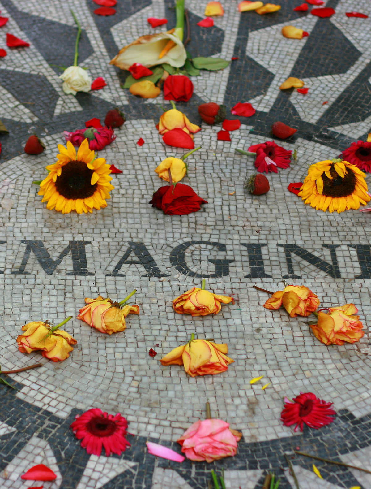 John Lennon memorial in central park, NYC. Focused on the words.