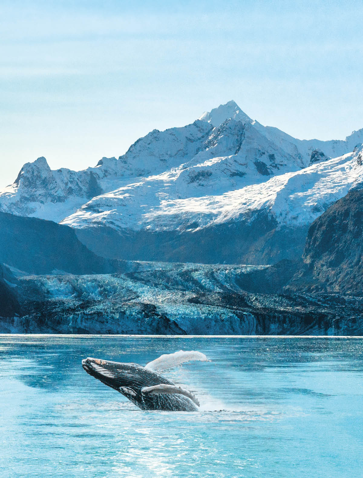 Alaska cruise travel Glacier Bay vacation. Whale watching tour concept for USA holiday destination.