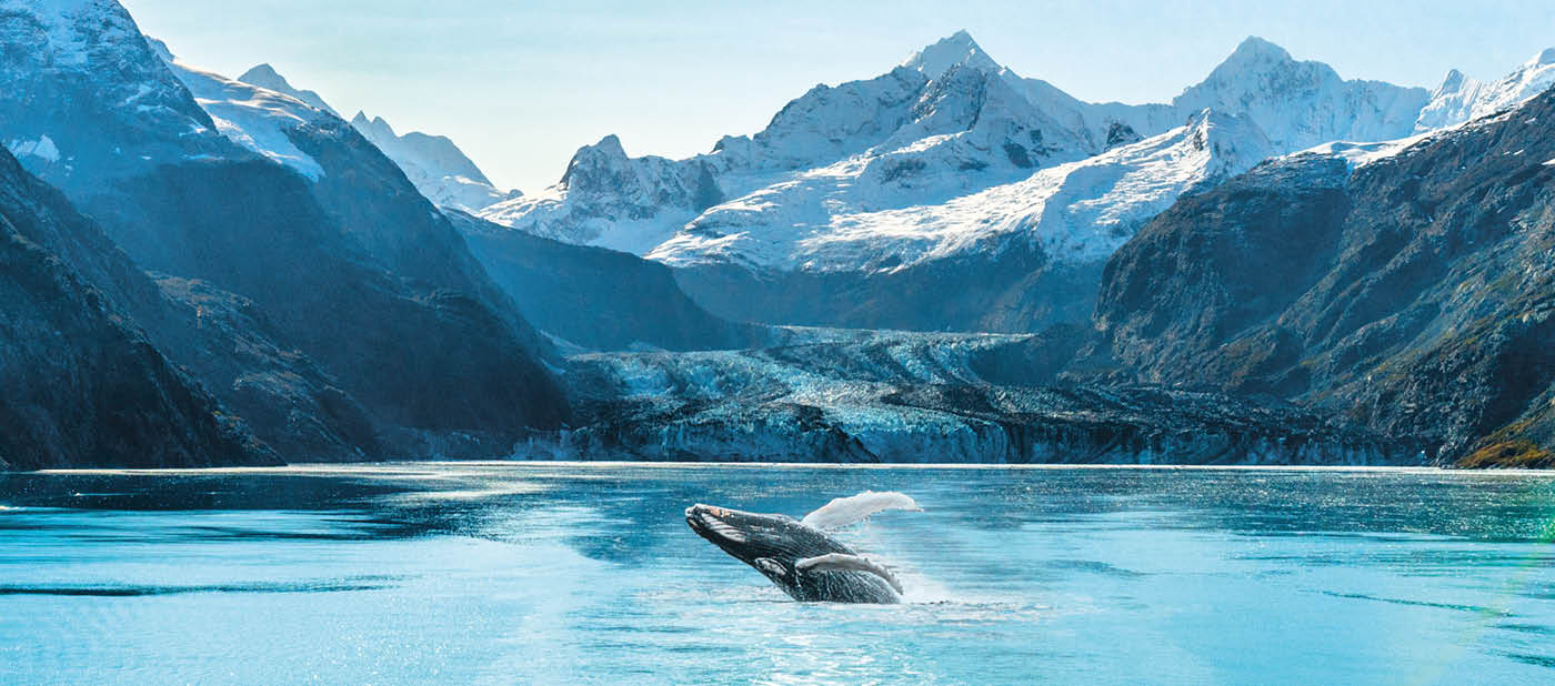 Alaska cruise travel Glacier Bay vacation. Whale watching tour concept for USA holiday destination.