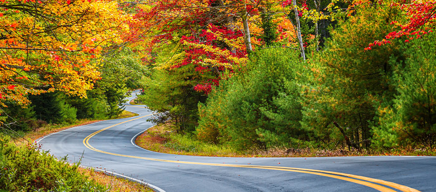 Winding road curves through scenic autumn foliage trees in New England.