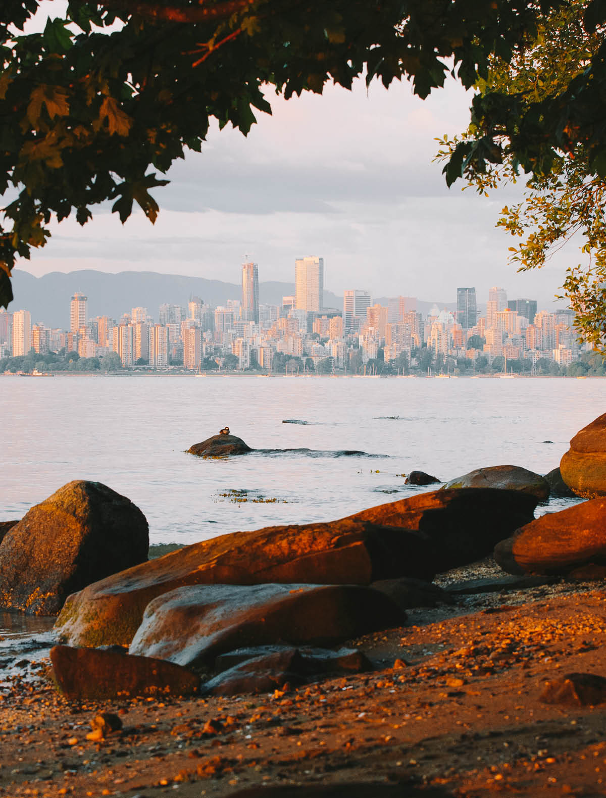 Vancouver skyline from Kitsilano. Beach with rocks and trees.