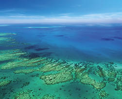 Aerial view of a great barrier reef