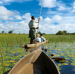 photo was taken on a half day trip in Okavango Delta Botswana, the Delta is the biggest sweatwater reservoir in this area and the water is absolutly clean, summer time is green season with low water, the mokoro are fiberglass replicas of dug out canoes, is easier to build than a genuine dugout, silence there is amazing